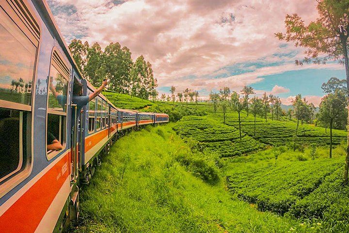 Tea Country Retreat